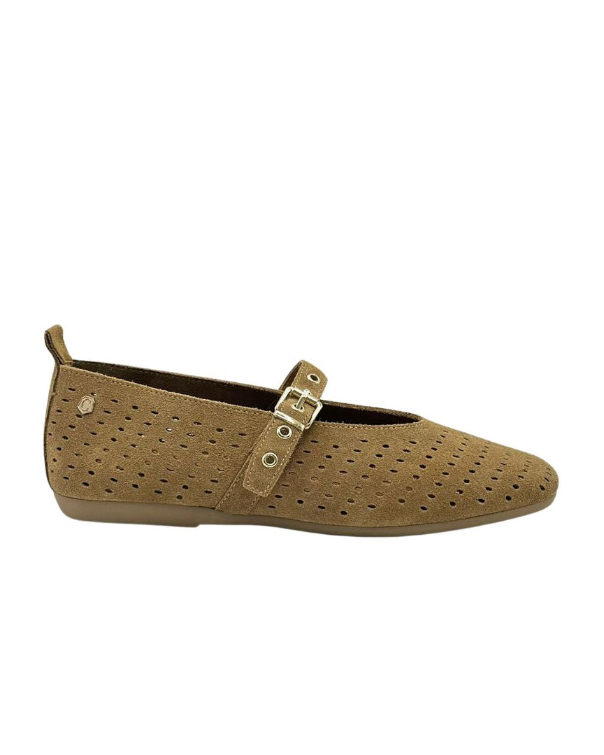 sabrinas-camel-carmela